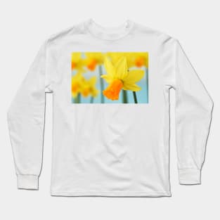 Narcissus  &#39;Jetfire&#39;   AGM  Daffodil  Div.  6 Cyclamineus Long Sleeve T-Shirt